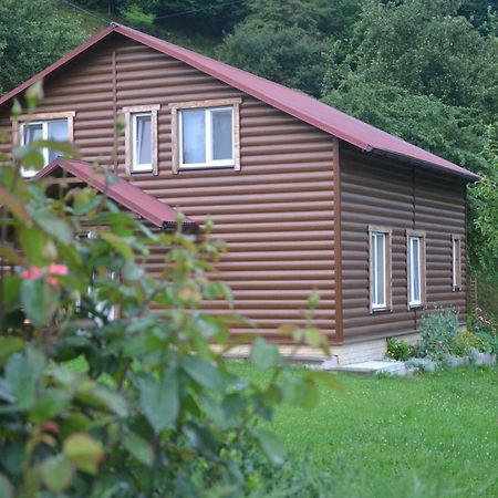 Pid Lisochkom Verkhovyna Luaran gambar