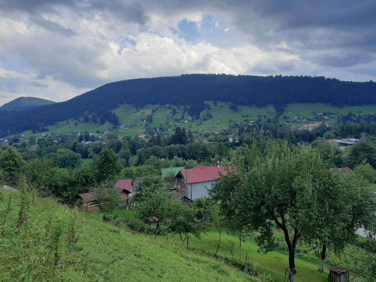 Pid Lisochkom Verkhovyna Luaran gambar